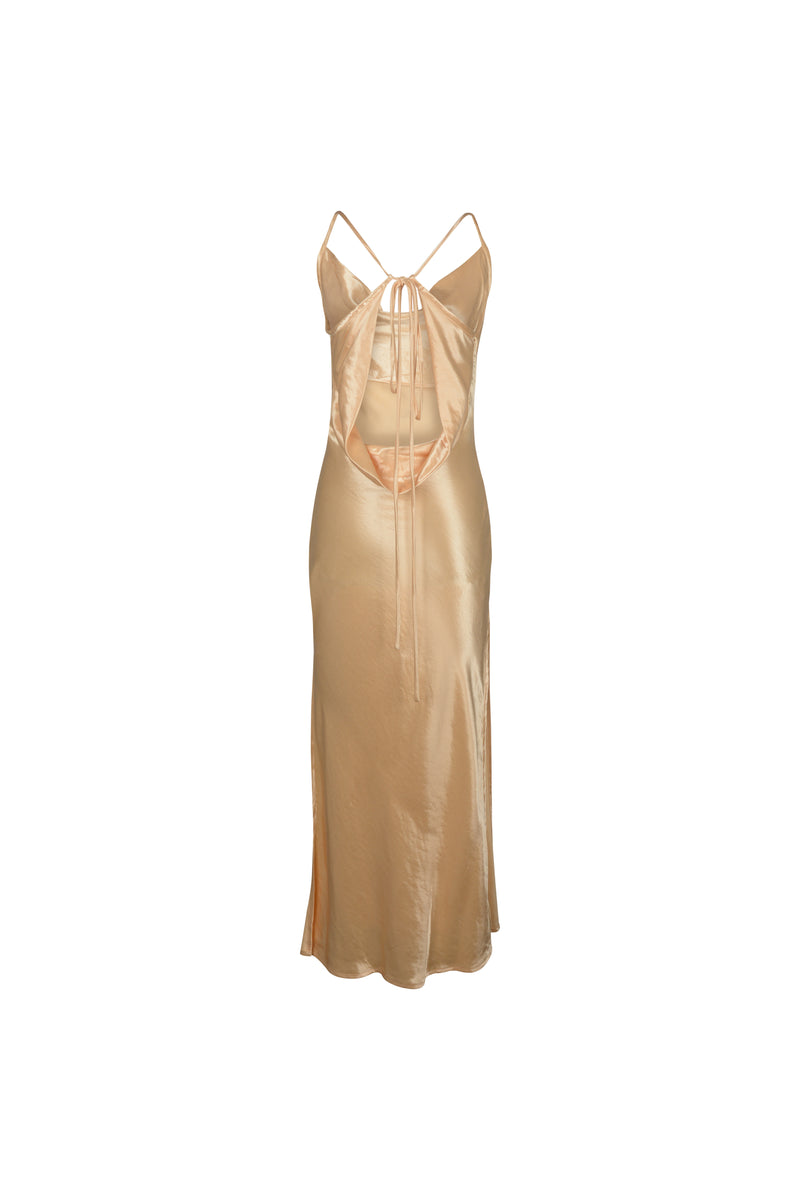 Lumiere Dress